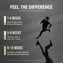 organic-himalayan-shilajit-resin-extract-6.jpg