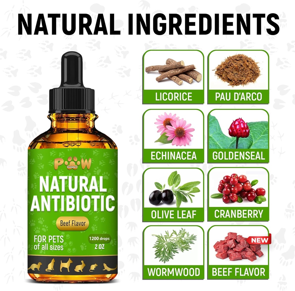 antibiotics-for-dogs-antibiotics-for-cat-3.jpg