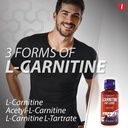 isatori-l-carnitine-1500-triple-blend-li-4.jpg