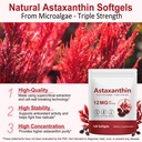 xaarty-premium-astaxanthin-12mg-natural--6.jpg