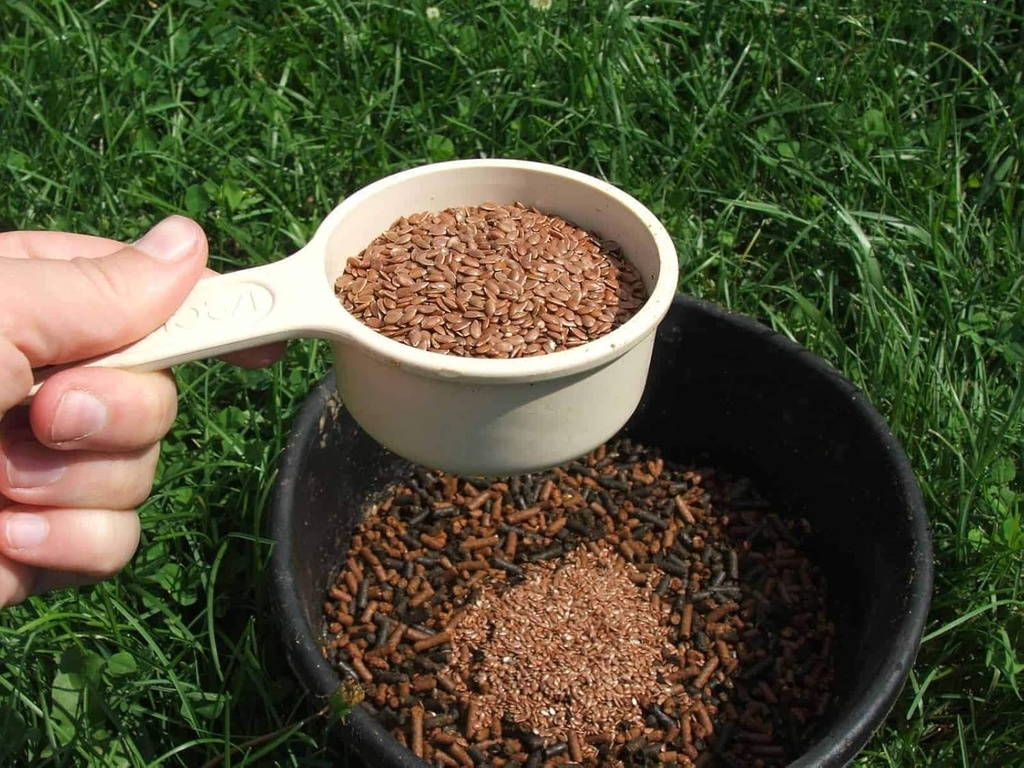 bulk-whole-flax-seed-omega-3-fatty-acid--2.jpg
