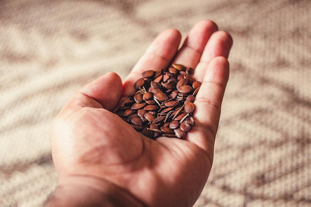 bulk-whole-flax-seed-omega-3-fatty-acid--4.jpg