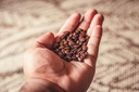 bulk-whole-flax-seed-omega-3-fatty-acid--4.jpg