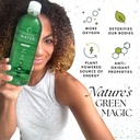 chlorophyll-water-6-pack-certified-clean-3.jpg