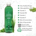chlorophyll-water-6-pack-certified-clean-4.jpg