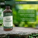 buried-treasure-liquid-chlorophyll-100-m-6.jpg