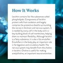 natures-sunshine-lecithin-180-softgels-6.jpg