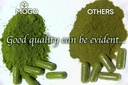 mogo-moringa-capsules-180-ct-boost-energ-4.jpg