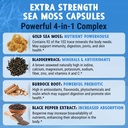 maju-superfoods-black-seed-oil-4-in-1-se-5.jpg