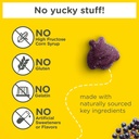 zarbee-s-elderberry-gummies-for-kids-imm-3.jpg