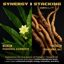 earth-elixir-fadogia-agrestis-tongkat-al-2.jpg