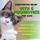 cat-constipation-relief-cat-laxative-con-2.jpg