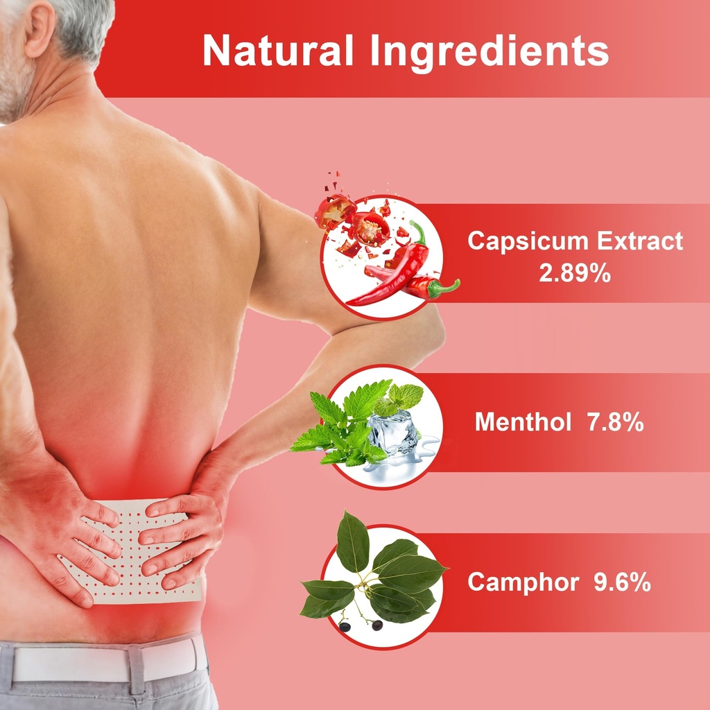 60-count-capsaicin-patch-capsicum-patche-4.jpg