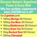 moringa-irish-sea-moss-chlorophyll-egcg--2.jpg