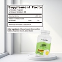 dynamic-duo-magicmag-kadsorb-magnesium-p-3.jpg