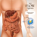 dr-clark-digestive-aid-digestive-dietary-5.jpg