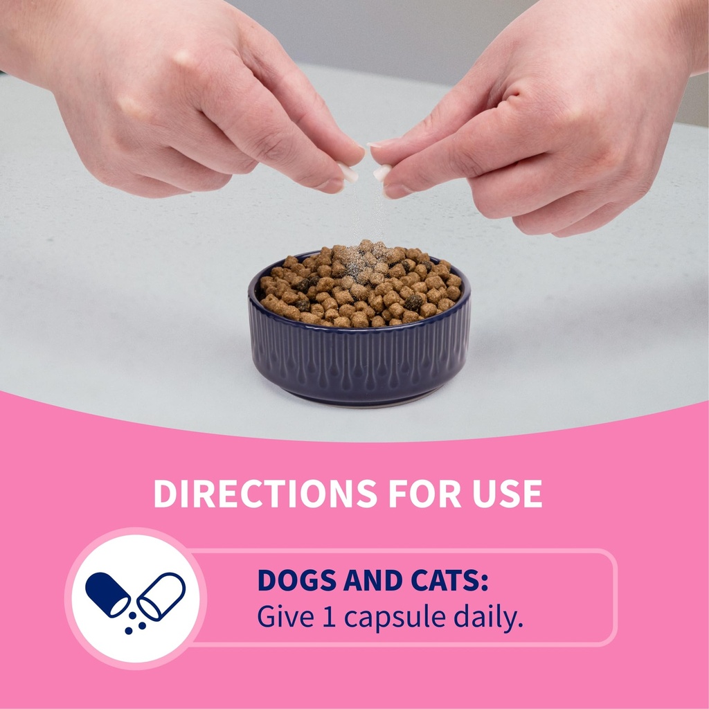 nutramax-proviable-probiotics-for-dogs-a-6.jpg
