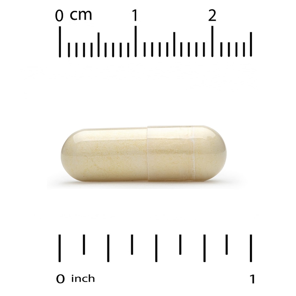 california-gold-nutrition-french-maritim-3.jpg