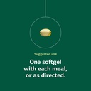 standard-process-sesame-seed-oil-blood-h-5.jpg