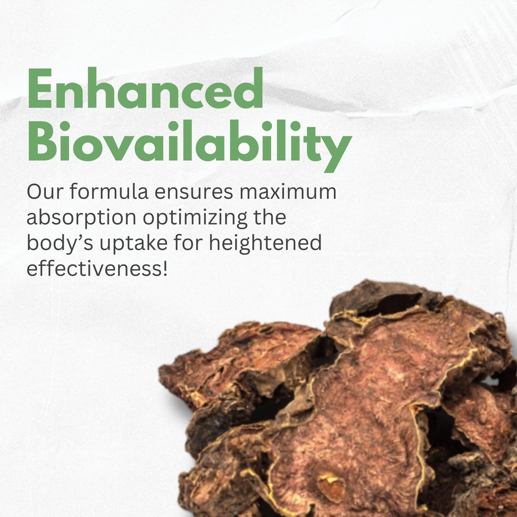 rhodiola-rosea-supplement-high-potency-e-6.jpg