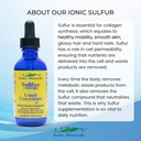 eidon-ionic-minerals-liquid-sulfur-conce-4.jpg