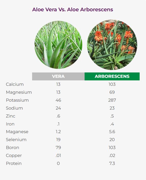 supreme-immune-health-formula-organic-al-2.jpg