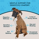 animal-essentials-healthy-gut-herbal-pre-2.jpg