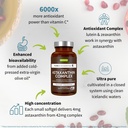 astaxanthin-complex-zinc-complex-vegan-b-3.jpg
