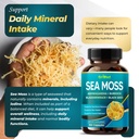 premium-sea-moss-with-ashwagandha-burdoc-3.jpg