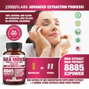 all-in-1-8885mg-highest-potency-sea-moss-6.jpg