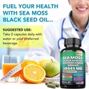 sea-moss-black-seed-oil-ashwagandha-ging-6.jpg