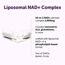 micro-ingredients-liposomal-nad-ultimate-3.jpg
