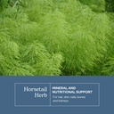 eclectic-herb-horsetail-capsules-mineral-3.jpg