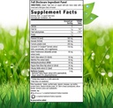 irwin-naturals-whole-body-turmeric-curcu-2.jpg