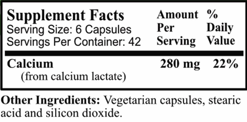 daily-manufacturing-calcium-lactate-2.jpg