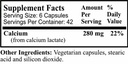 daily-manufacturing-calcium-lactate-2.jpg