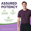 doctor-s-recipes-grape-seed-extract-500--4.jpg