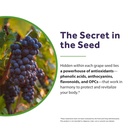 doctor-s-recipes-grape-seed-extract-500--6.jpg