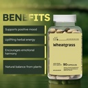 organic-wheat-grass-capsules-500-mg-90-c-2.jpg