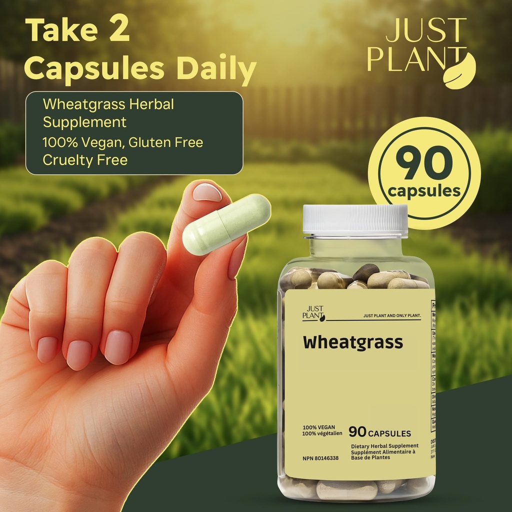 organic-wheat-grass-capsules-500-mg-90-c-4.jpg