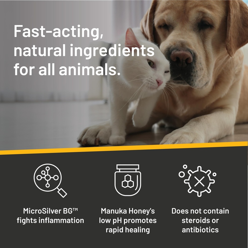 silver-honey-rapid-ear-care-vet-strength-6.jpg
