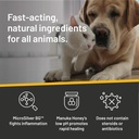 silver-honey-rapid-ear-care-vet-strength-6.jpg