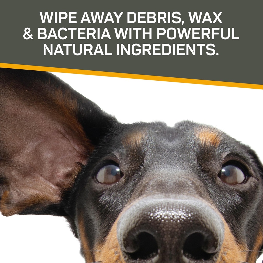 silver-honey-rapid-ear-care-vet-strength-5.jpg