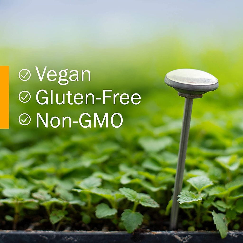 herb-pharm-certified-organic-ginkgo-bilo-6.jpg