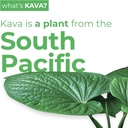 leilo-kava-powered-sparkling-relaxation--2.jpg