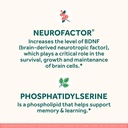 neuriva-original-brain-supplement-for-me-4.jpg