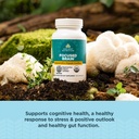 ancient-nutrition-regenerative-organic-c-3.jpg