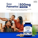 doctor-morse-s-saw-palmetto-10-1-extract-2.jpg