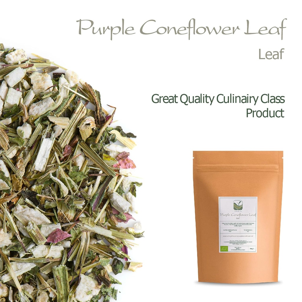 purple-coneflower-herb-echenecia-tea---i-3.jpg