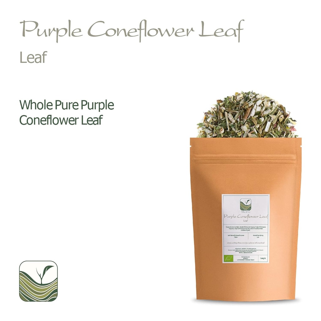 purple-coneflower-herb-echenecia-tea---i-4.jpg